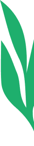 Leaf decoration