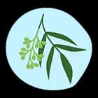 Neem Extract