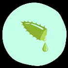 Aloe Vera Extract