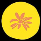 Chamomile Extract