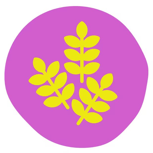 Oatmeal Extract
