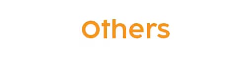 Other Product Title