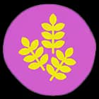 Oatmeal Extract