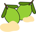 Grapes illustration